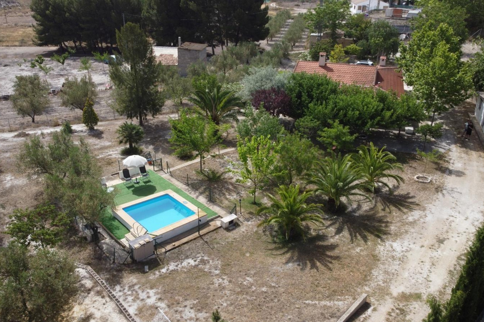 Revente - Ville - Castalla - Confiters