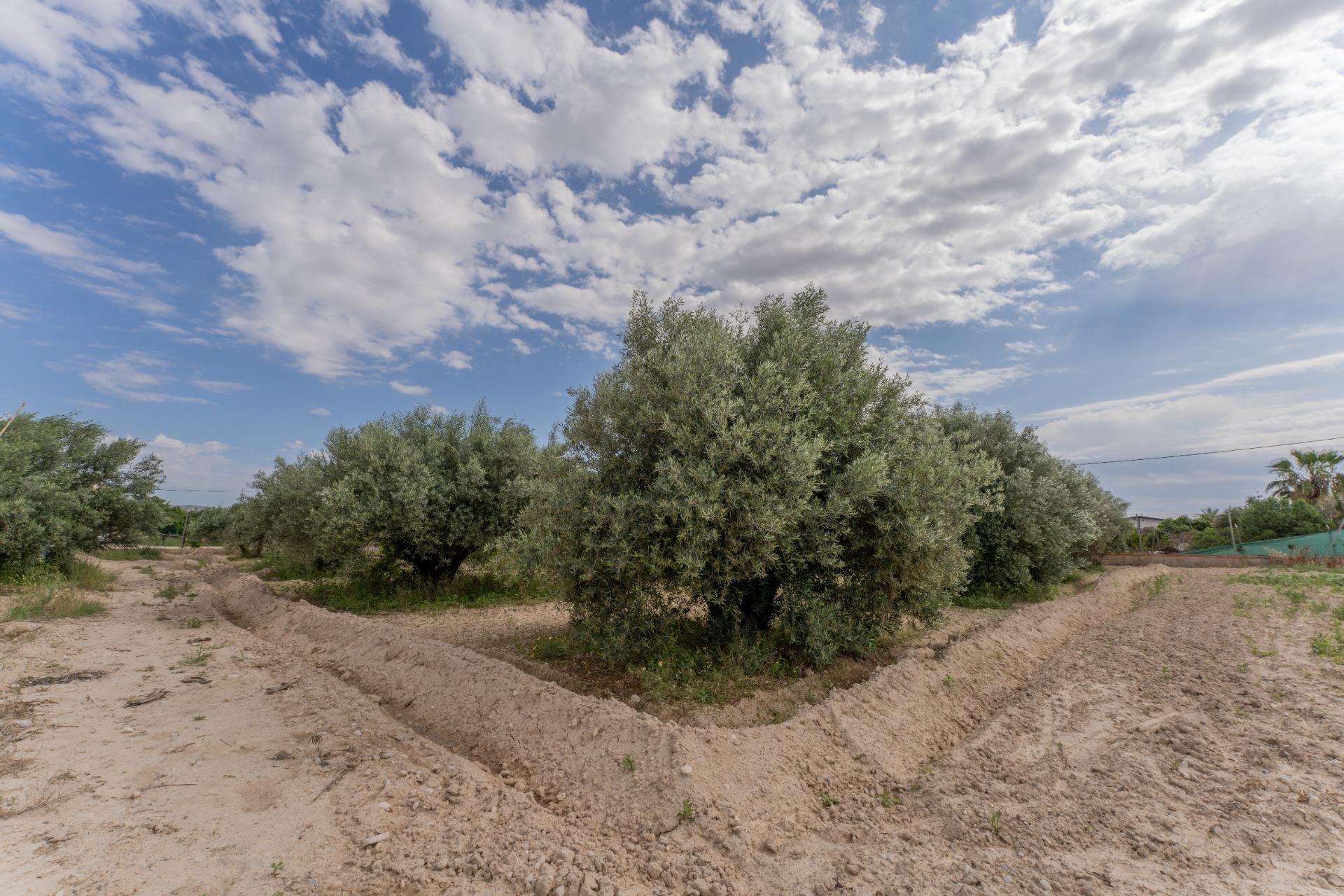 Revente - Ville - Crevillent - DERRAMADOR