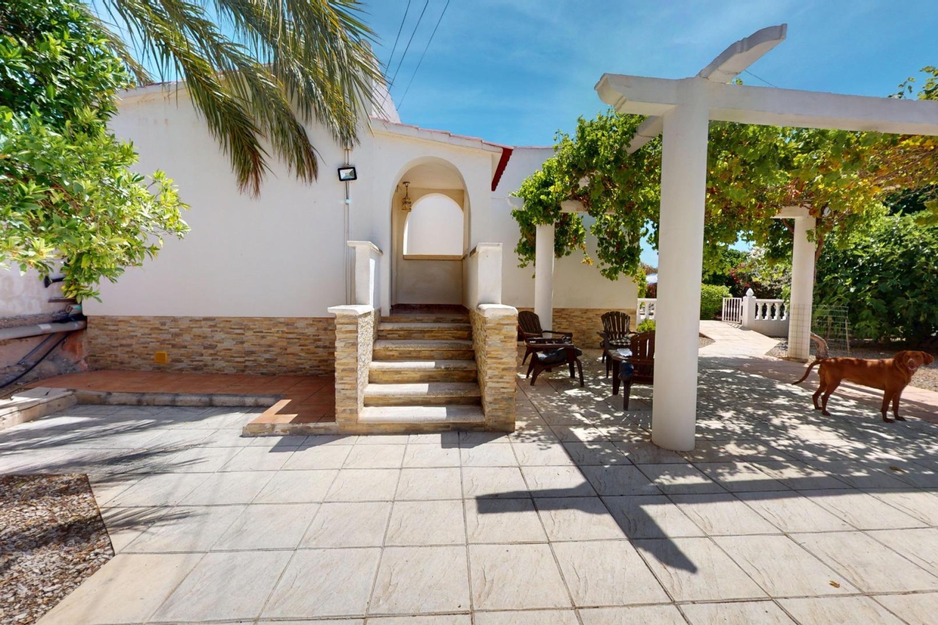Revente - Ville - Crevillent - LA MANGRANERA