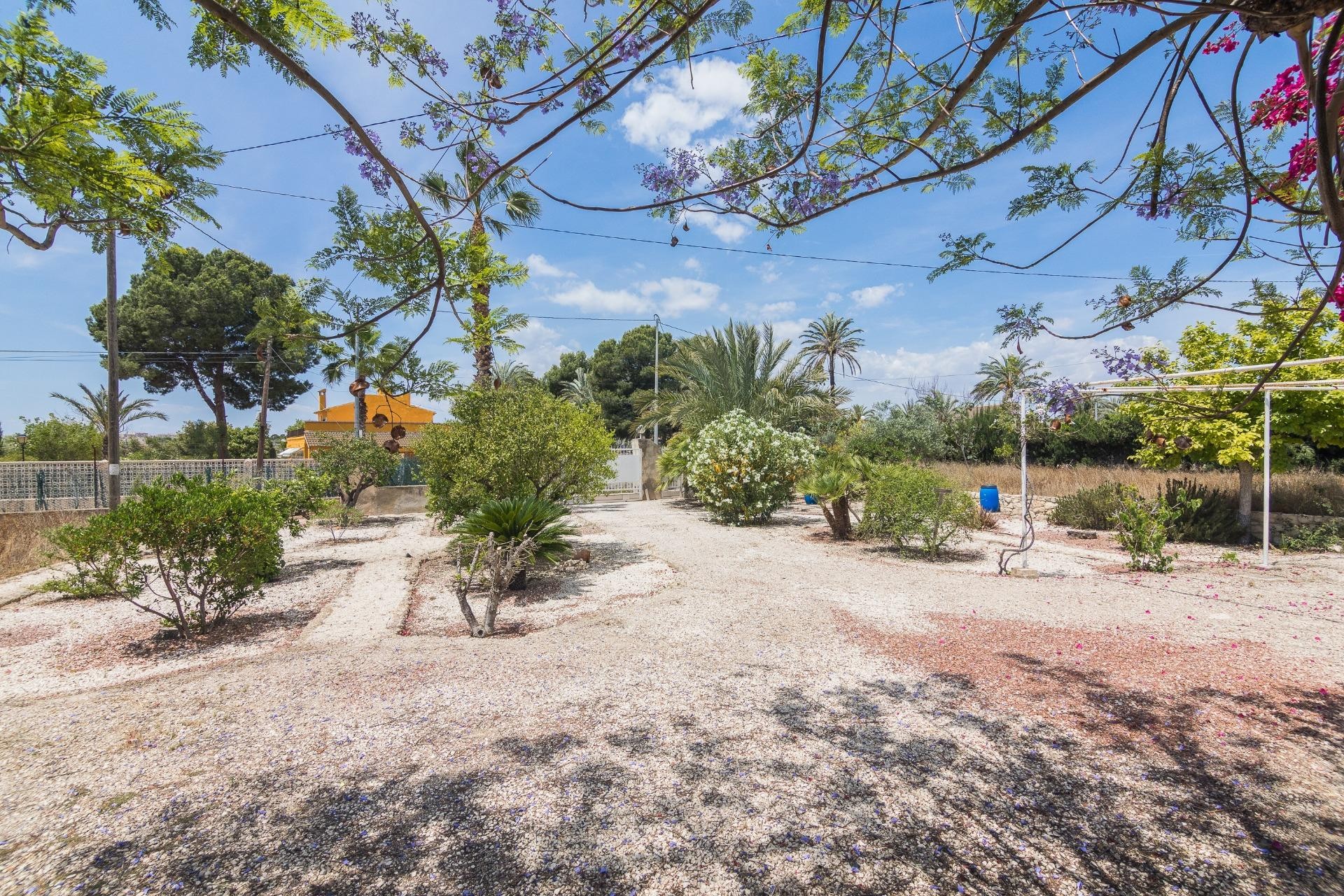 Revente - Ville - Elche - La Galia-Bonavista