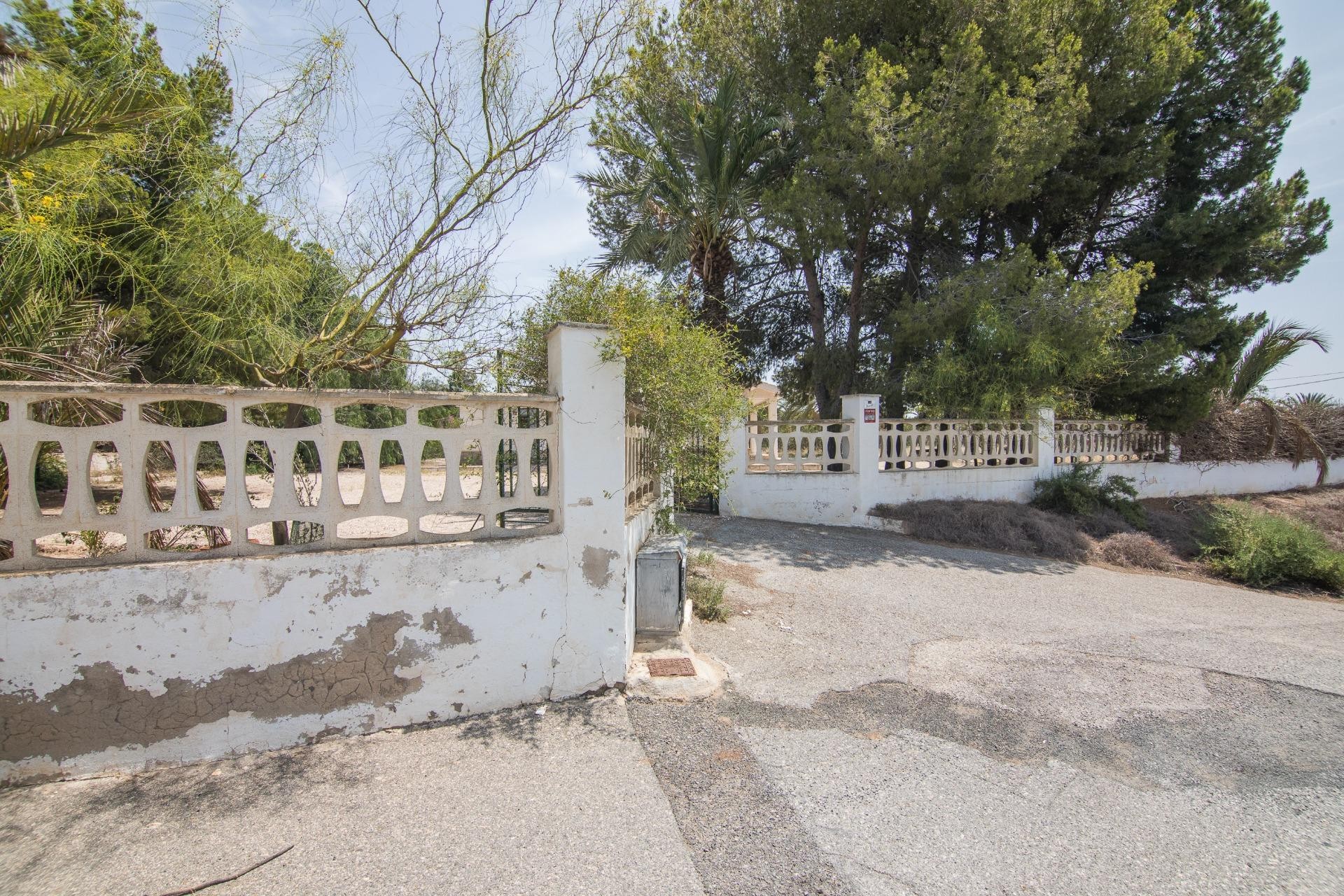 Revente - Ville - Elche - La Galia-Bonavista