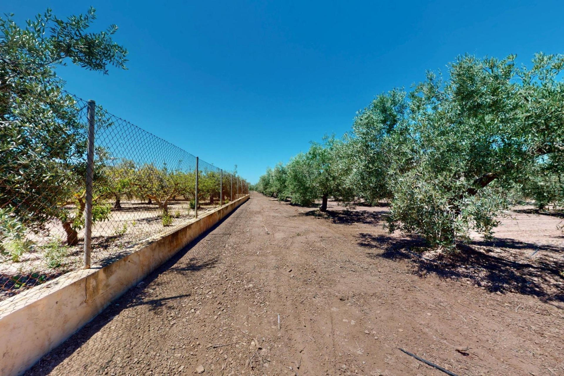 Revente - Ville - Elche Pedanías - Baya Baja
