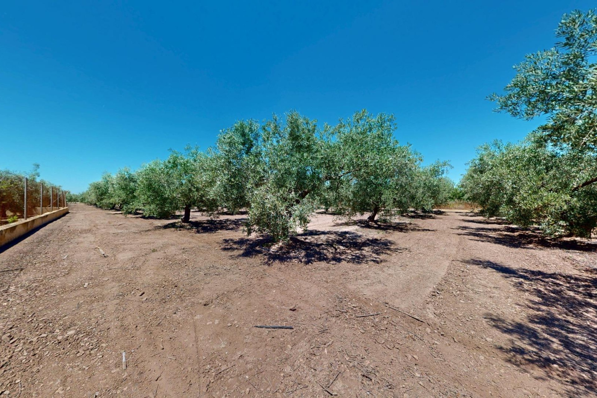 Revente - Ville - Elche Pedanías - Baya Baja