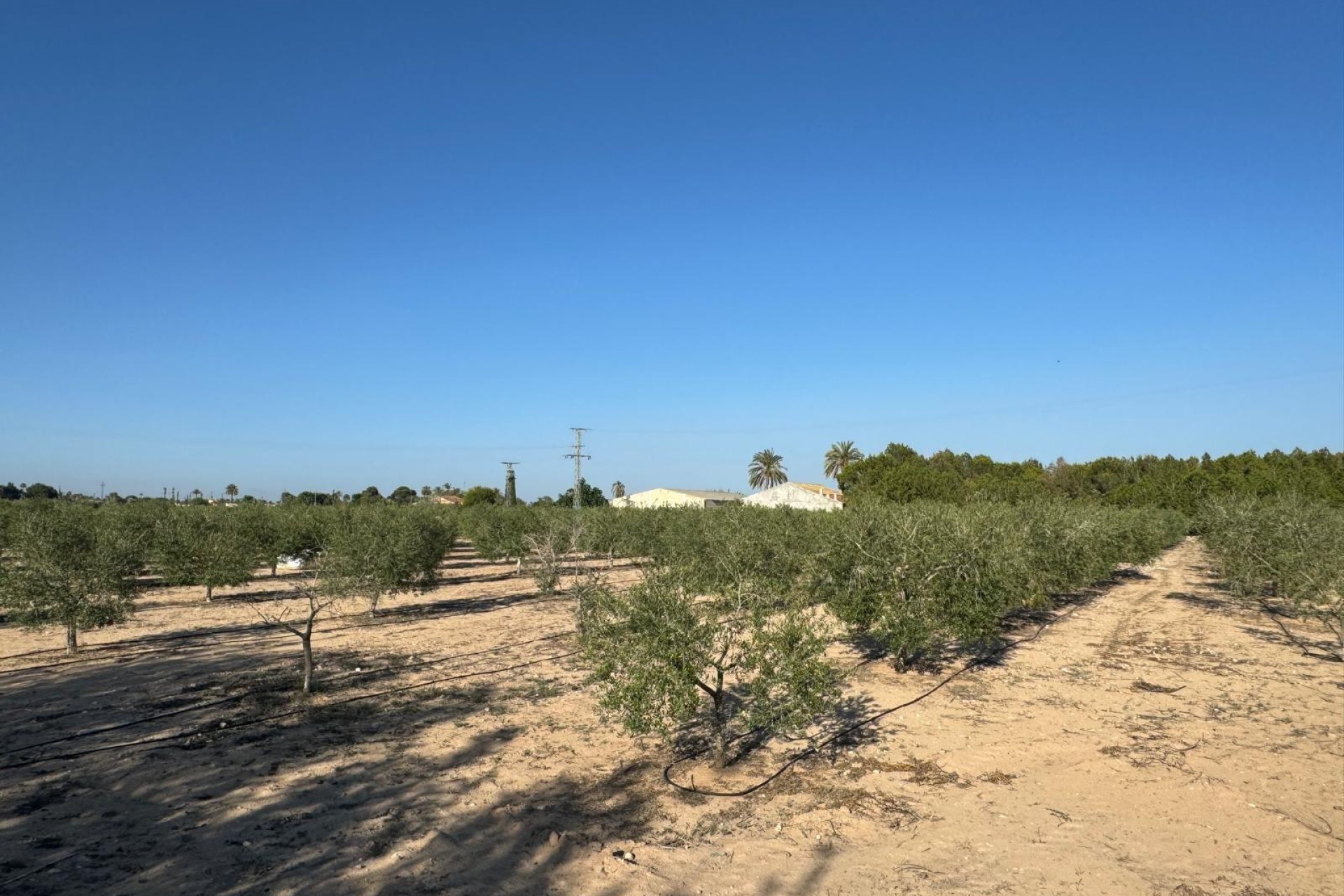 Revente - Ville - Elche Pedanías - La Hoya-Daimes-El Derramador