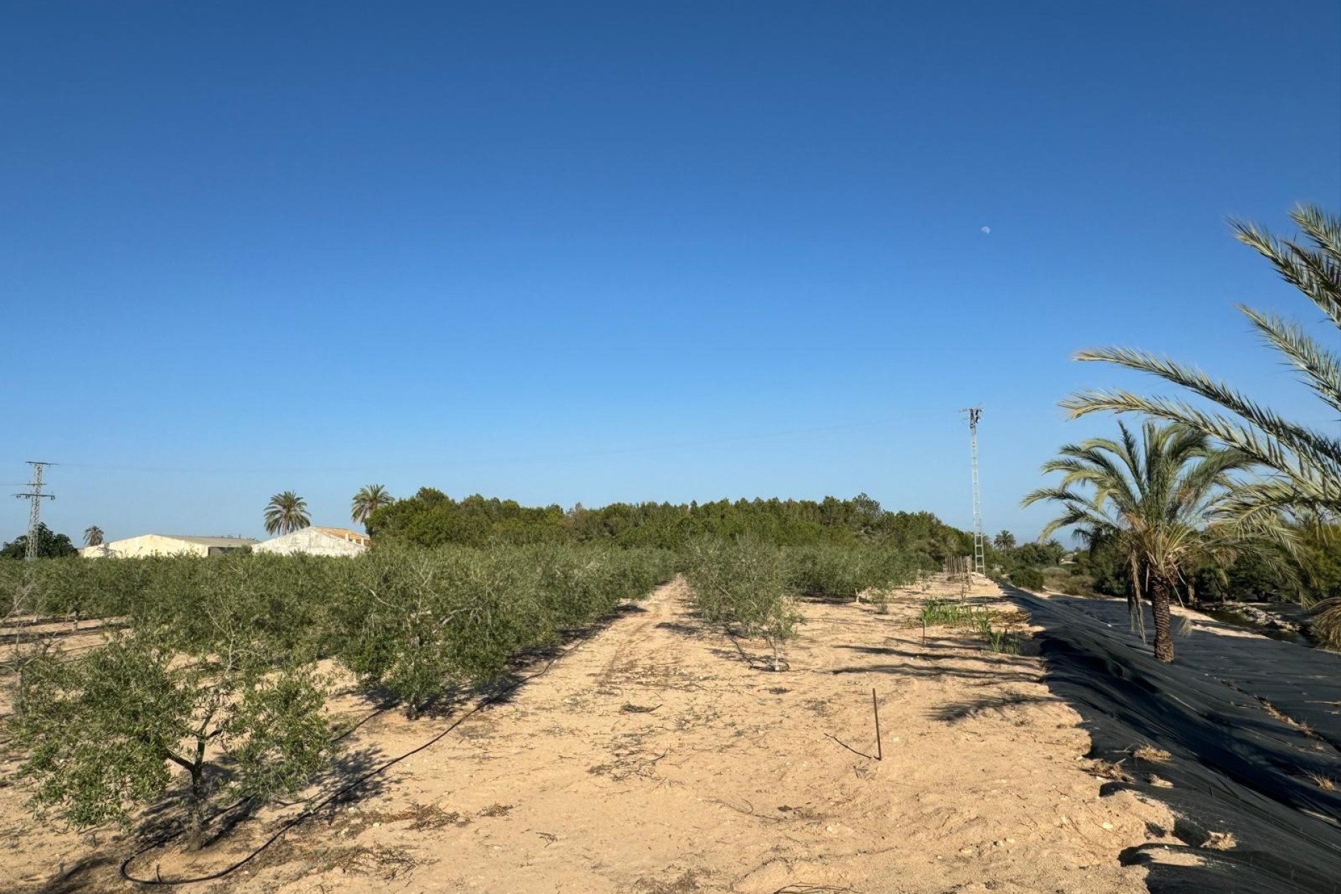 Revente - Ville - Elche Pedanías - La Hoya-Daimes-El Derramador