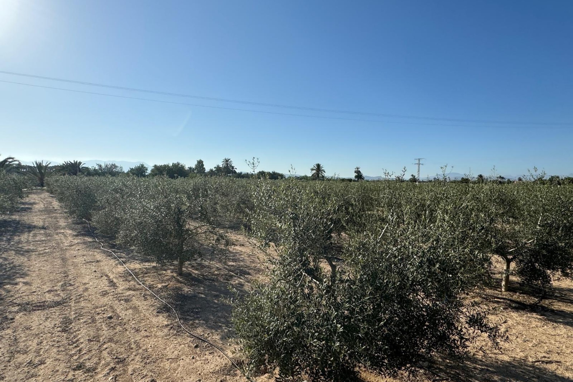 Revente - Ville - Elche Pedanías - La Hoya-Daimes-El Derramador