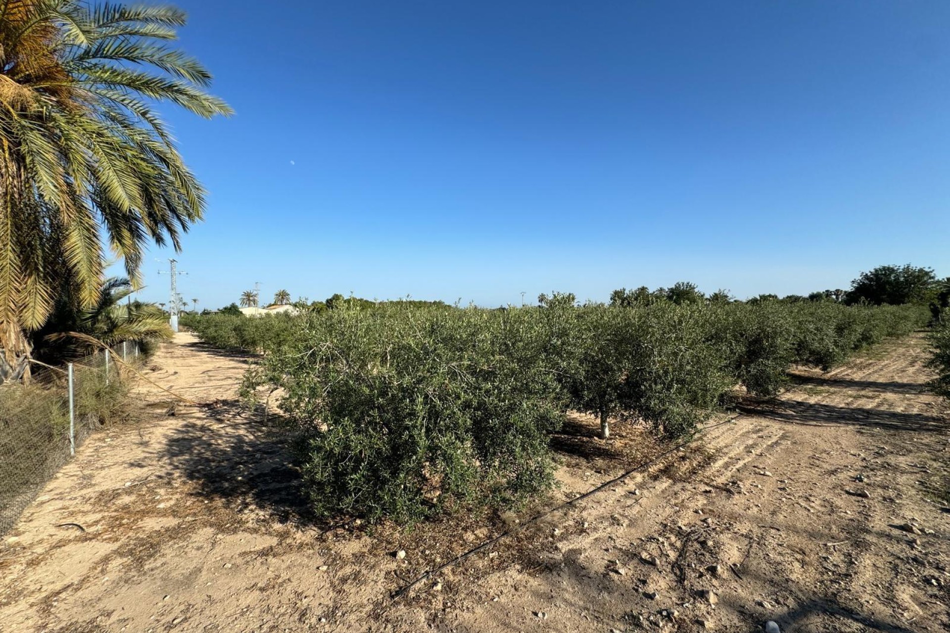 Revente - Ville - Elche Pedanías - La Hoya-Daimes-El Derramador