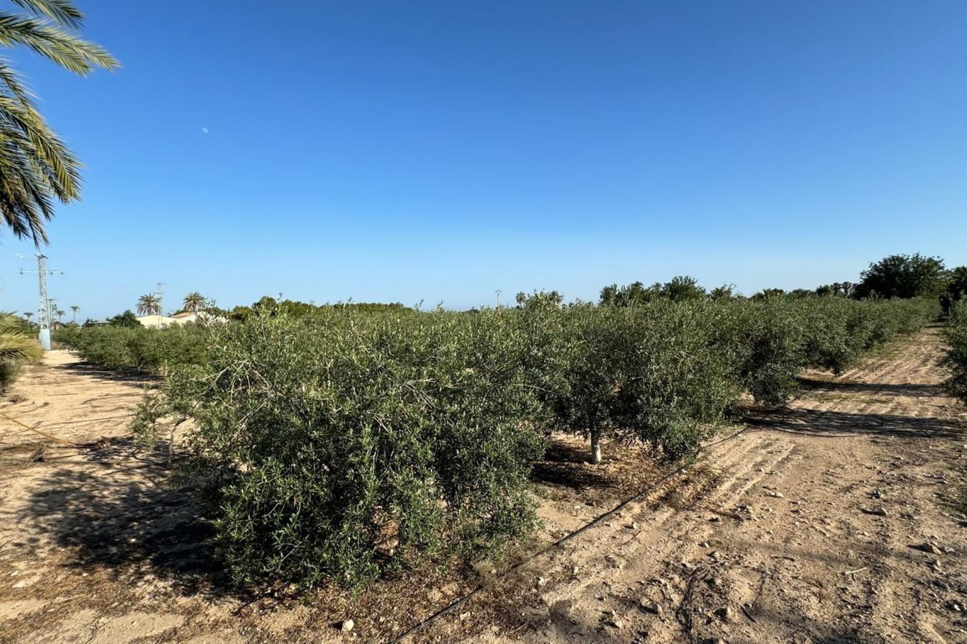 Revente - Ville - Elche Pedanías - La Hoya-Daimes-El Derramador