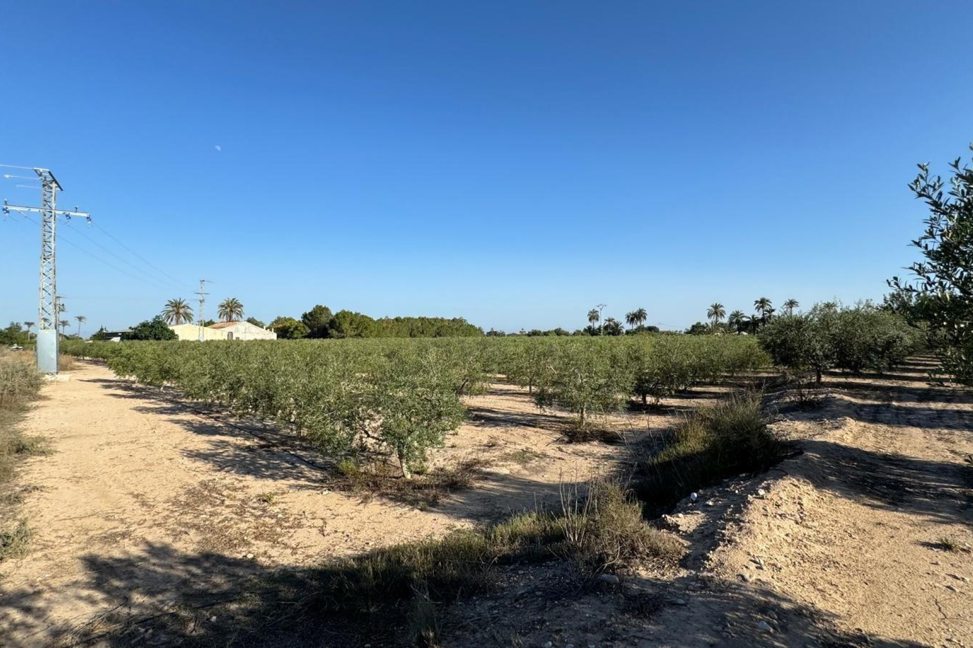 Revente - Ville - Elche Pedanías - La Hoya
