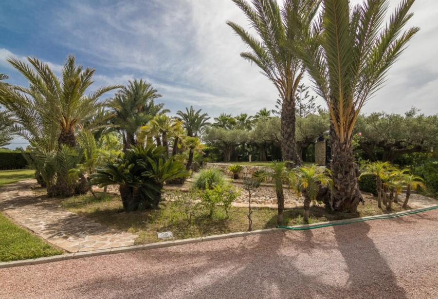 Revente - Ville - Elche Pedanías - Valverde