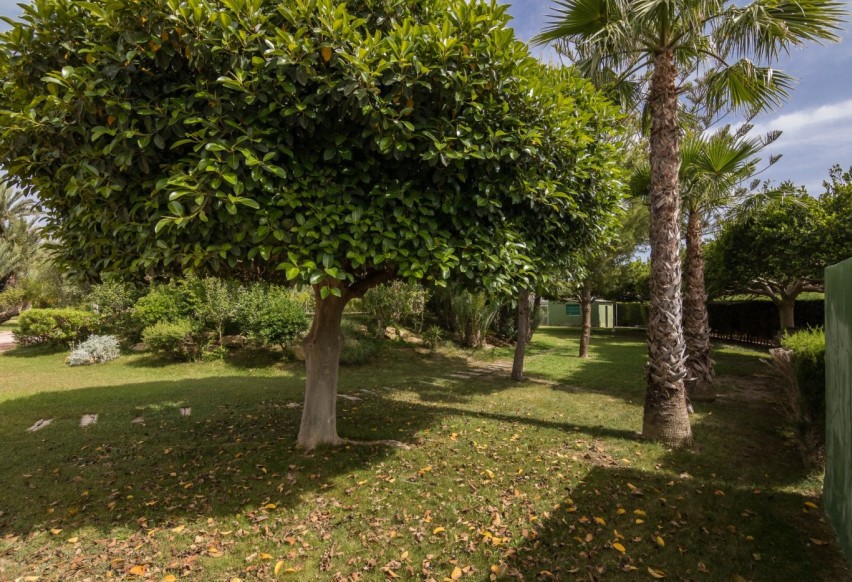 Revente - Ville - Elche Pedanías - Valverde