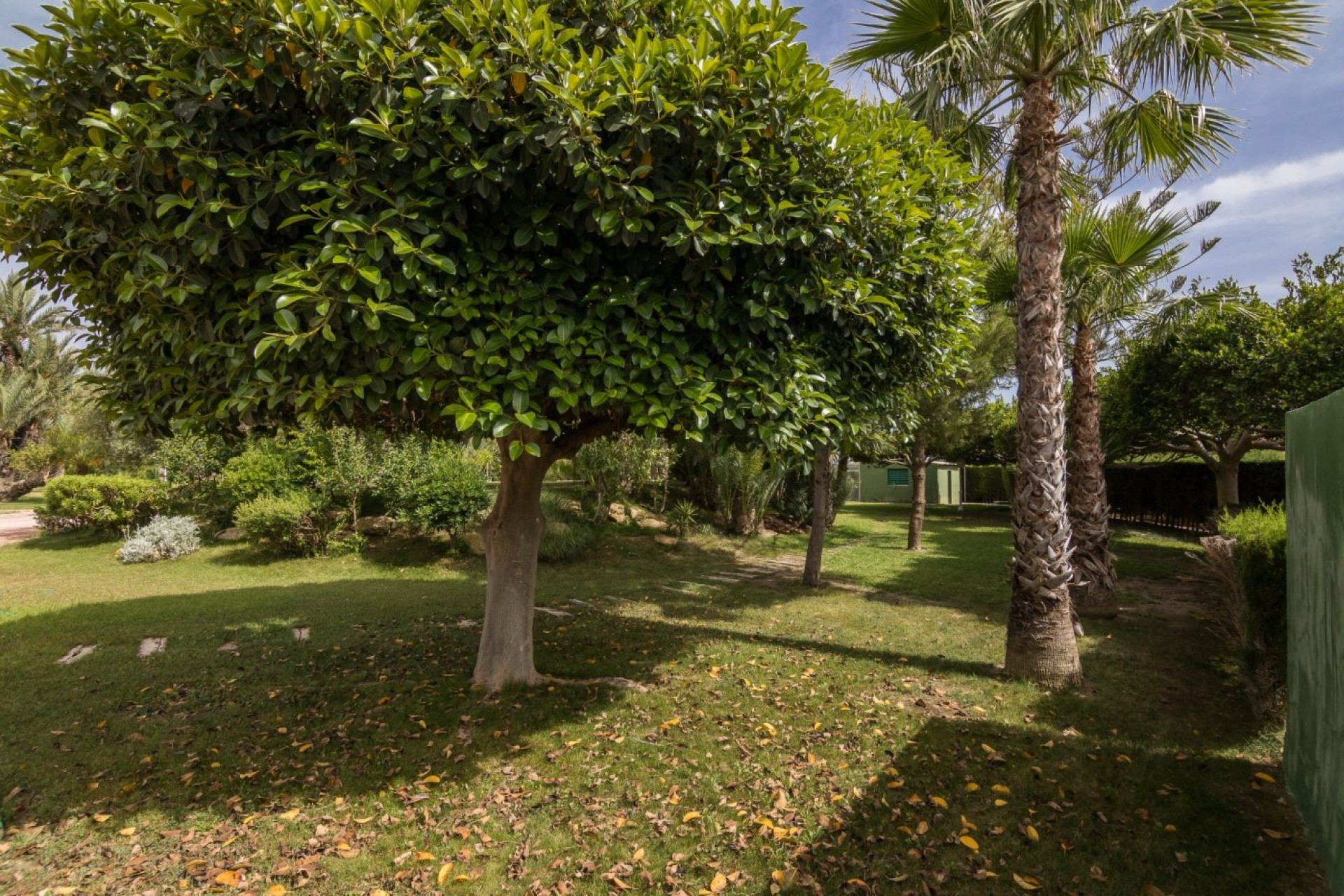 Revente - Ville - Elche Pedanías - Valverde