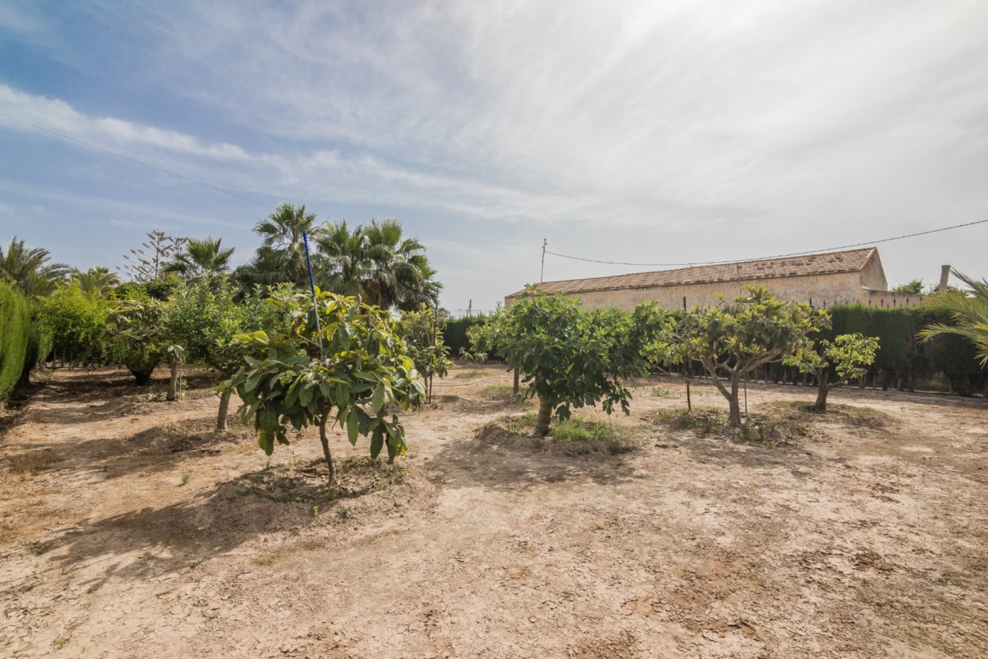 Revente - Ville - Elche Pedanías - Valverde