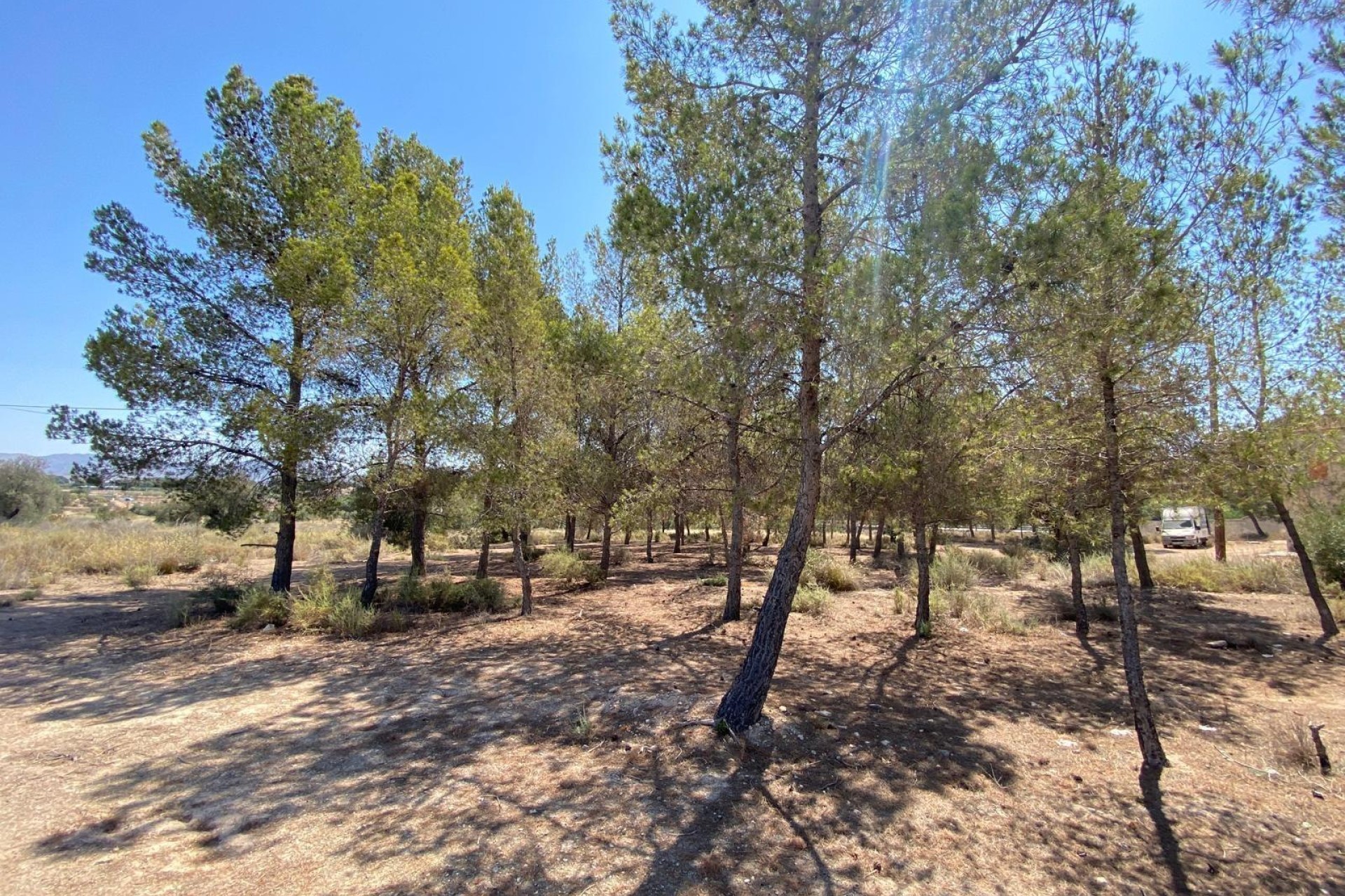 Revente - Ville - Elda - Las Trescientas - San Francisco