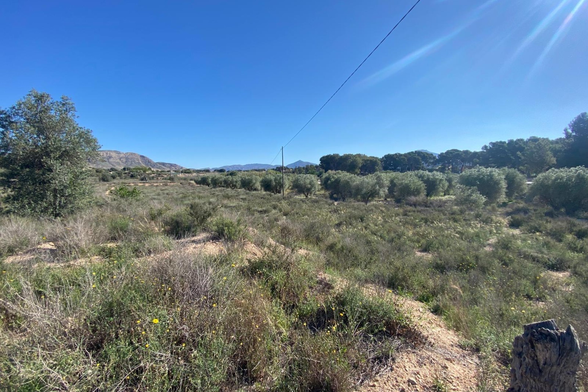 Revente - Ville - Elda - Las Trescientas - San Francisco