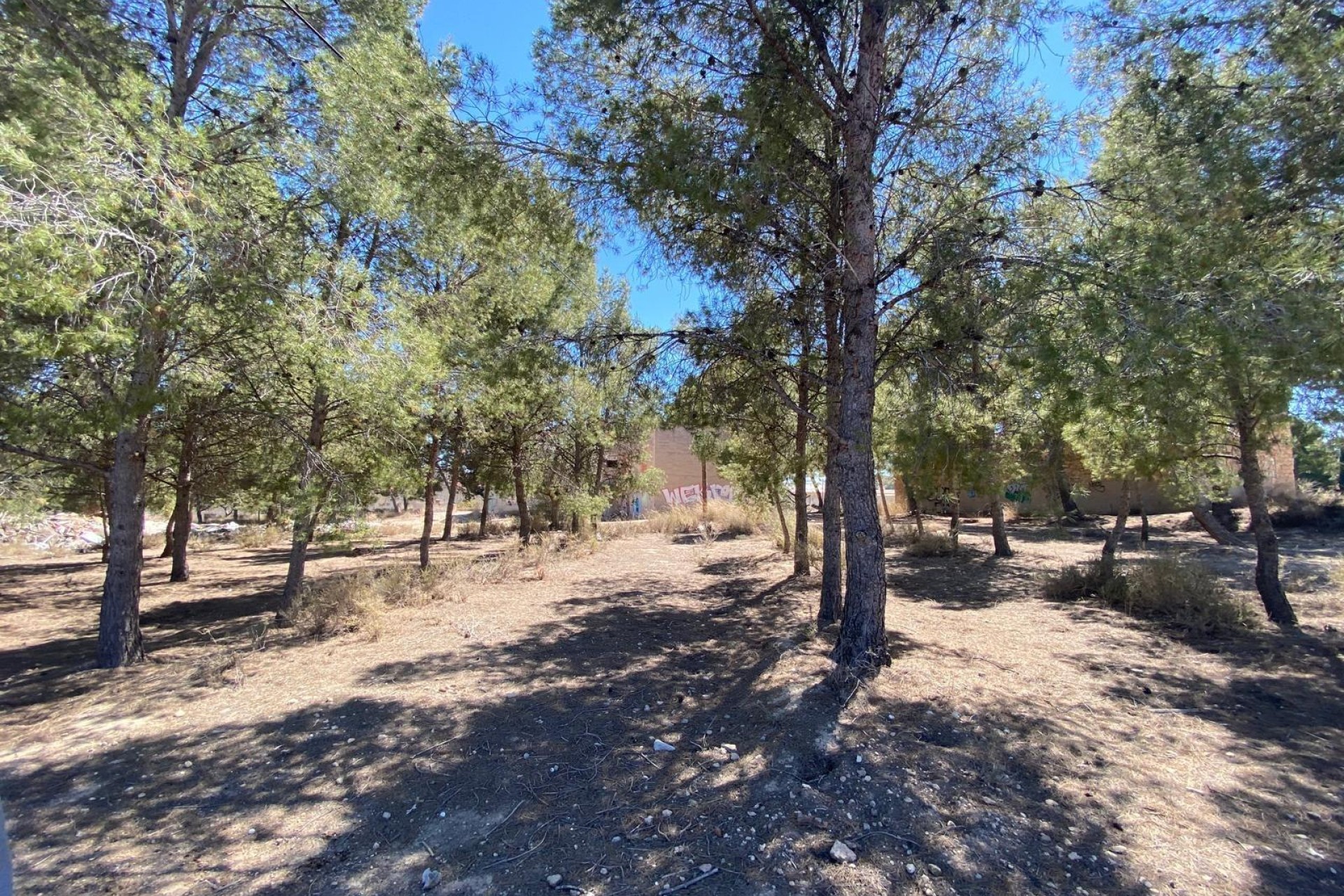 Revente - Ville - Elda - Las Trescientas - San Francisco