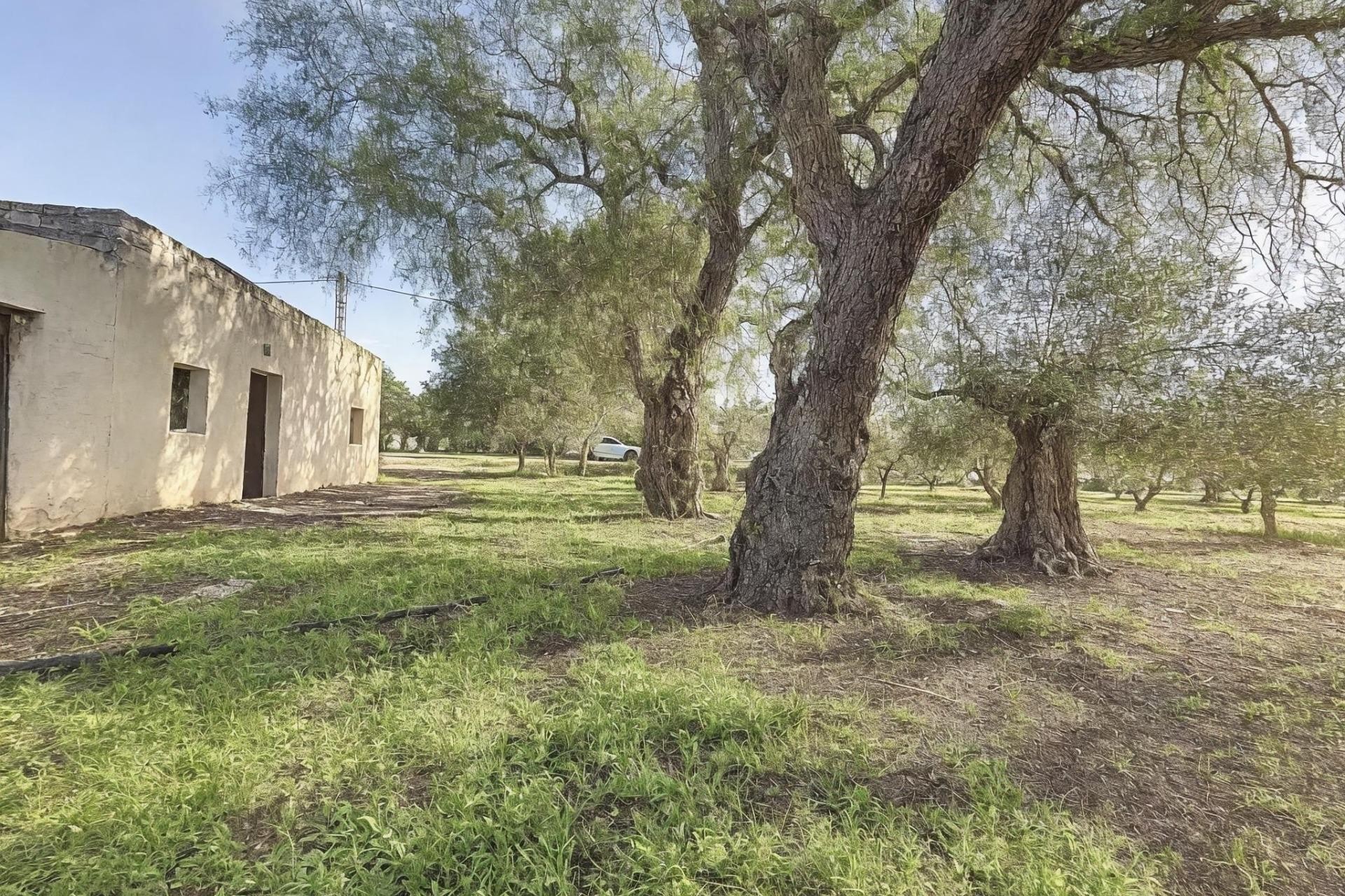 Revente - Ville - Onil - La Lloma