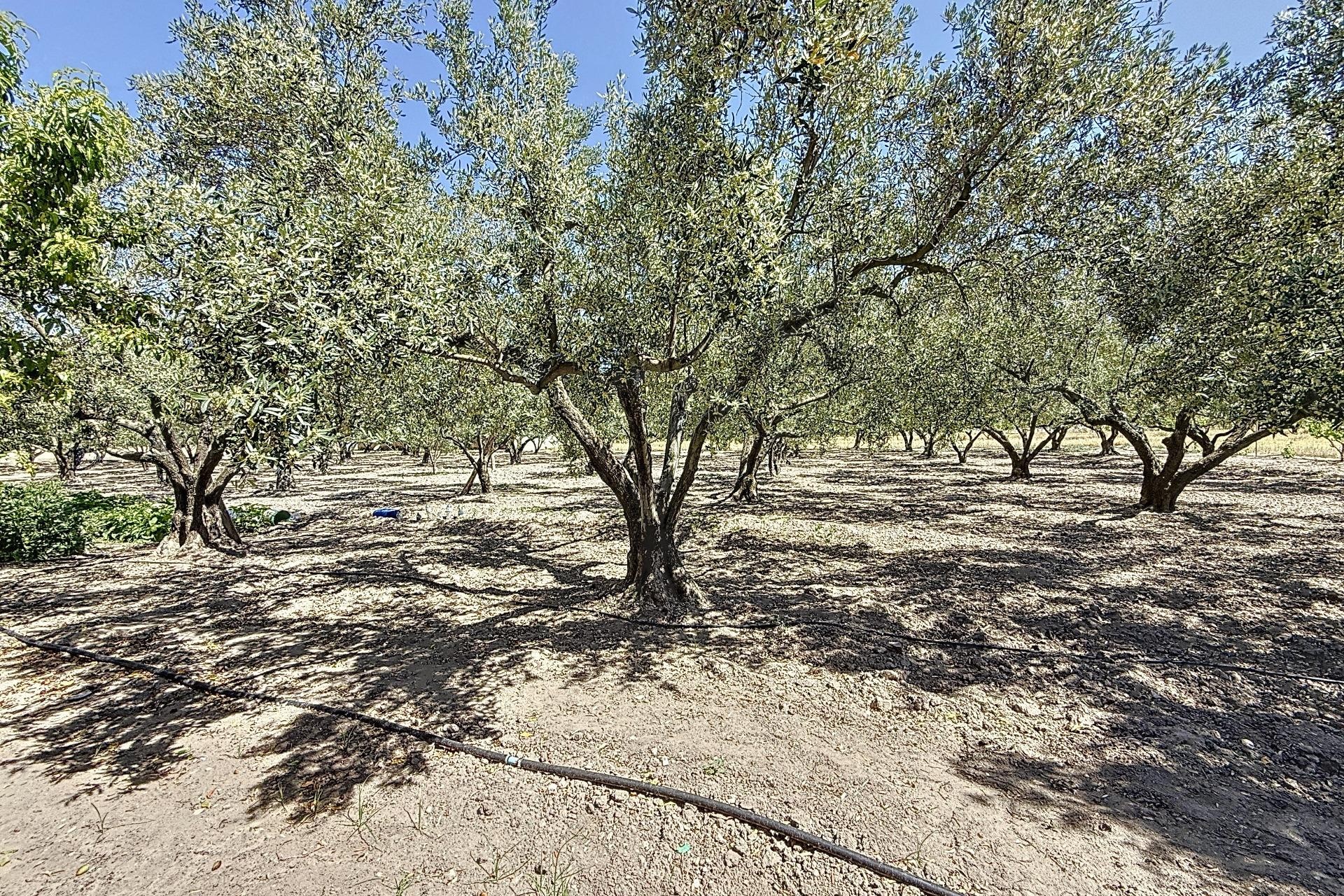Revente - Ville - Onil - Senda Del Chopet