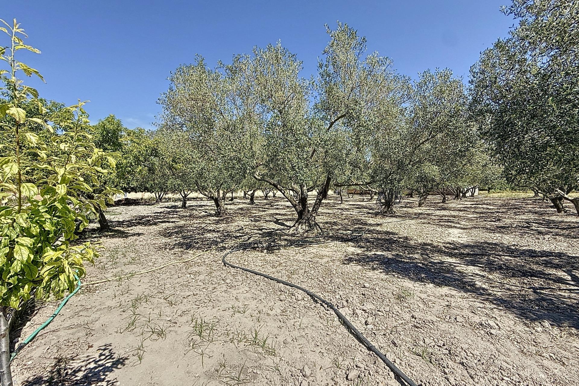 Revente - Ville - Onil - Senda Del Chopet