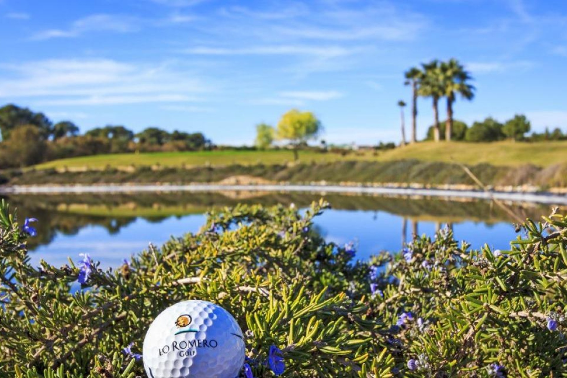 Revente - Ville - Pilar de la Horadada - Lo Romero Golf