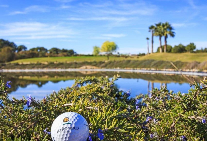 Revente - Ville - Pilar de la Horadada - Lo Romero Golf