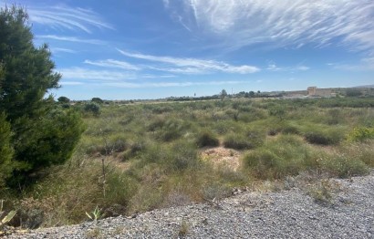 Terreno rural - Revente - Elche Pedanías - LOS BALSARES