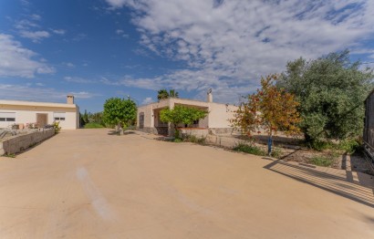 Villa - Reventa - Crevillent - DERRAMADOR