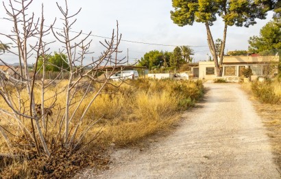 Villa - Reventa - Elche - Carrús Este
