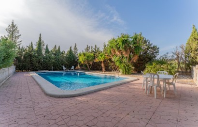 Villa - Reventa - Elche Pedanías - Matola - Campo