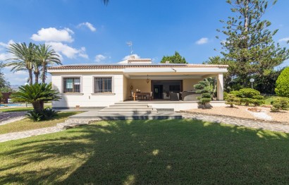 Villa - Reventa - Elche Pedanías - MM05457/7663
