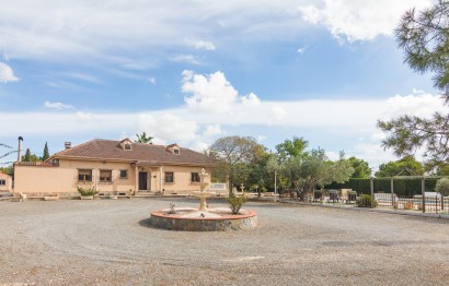 Villa - Reventa - Elche Pedanías - PEÑA DE LAS AGUILAS
