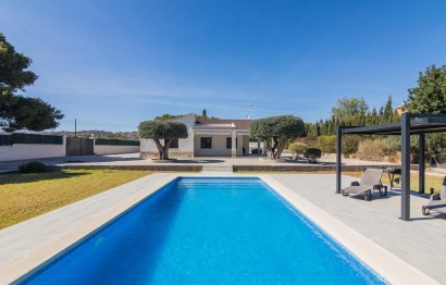 Villa - Reventa - Elche Pedanías - Peña las Águilas