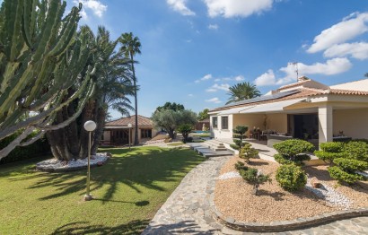 Villa - Reventa - Elche Pedanías - Peña las Águilas