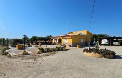 Ville - Revente - San Vicente del Raspeig - Foncalent