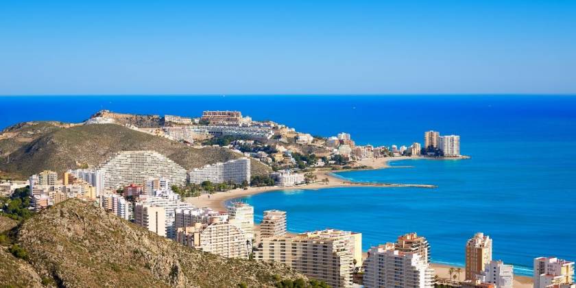 Ce que recherchent les acheteurs internationaux à Elche en 2025