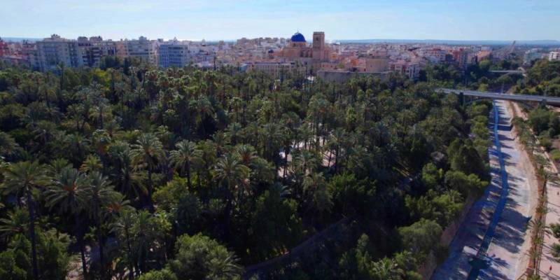 Tendencias del Mercado Inmobiliario en Elche 2025