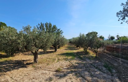Reventa - Casa de campo - Alicante - Costa blanca