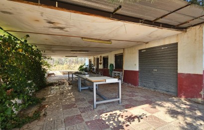 Reventa - Casa de campo - Alicante - Costa blanca