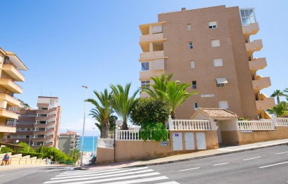 Revente - Appartement - Arenales del Sol - Segunda linea playa