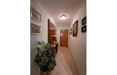Alquiler a largo plazo - Apartamento / piso - Elche - Plaza Crevillente-Juzgados