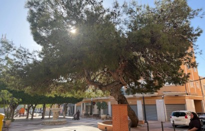 Reventa - Comercial - Elche Pedanías - Las Bayas-Asprillas