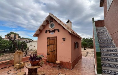 Reventa - Villa - Elche Pedanías - Jubalcoi-Saladas