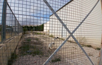 Reventa - Almacén - Algueña - Algeña alicante