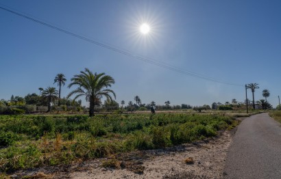 Reventa - Casa de campo - Elche Pedanías - Derramador