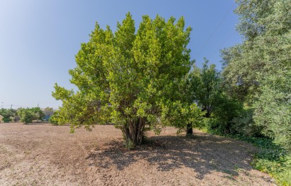 Reventa - Casa - Matola - Algoda-Matola-Llano de San José