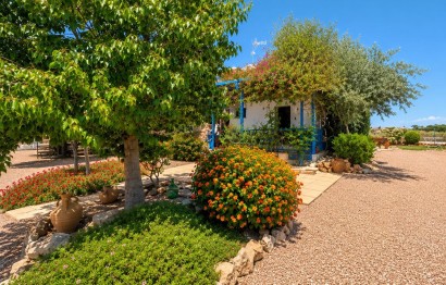 Reventa - Casa - Elche Pedanías - El Altet - Balsares