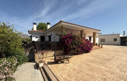 Reventa - Villa - Agost - campo
