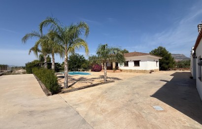 Reventa - Villa - Agost - campo