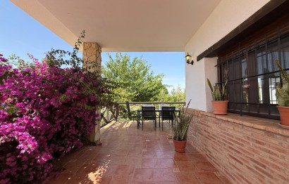 Reventa - Villa - Agost - campo