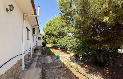 Reventa - Villa - Agost - campo
